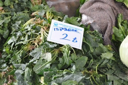 Türk Lirası'nın yeni simgesi Gölbaşı'nda