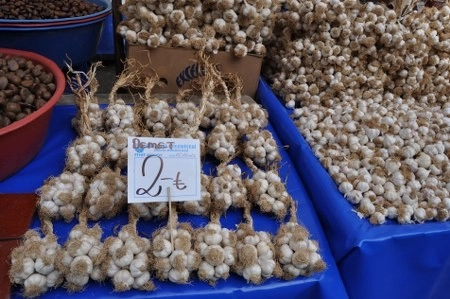 Türk Lirası'nın yeni simgesi Gölbaşı'nda