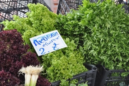 Türk Lirası'nın yeni simgesi Gölbaşı'nda