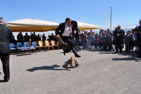 Nevruz Ateşi yakıldı