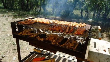 CHP'liler piknikte buluştu