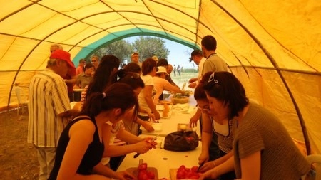 CHP'liler piknikte buluştu