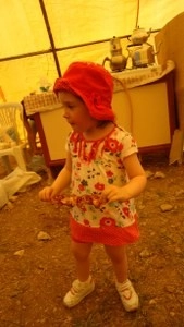 CHP'liler piknikte buluştu