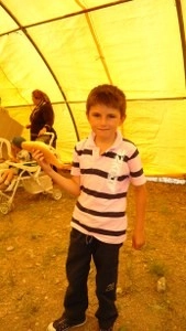 CHP'liler piknikte buluştu