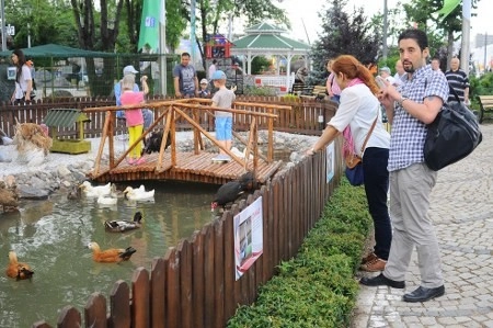 Başkent'te Festival Coşkusu