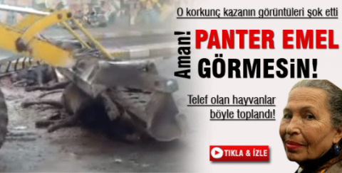 Aman panter emel görmesin...