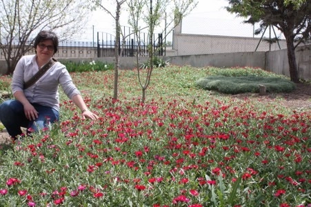 Müsaade edilirse ne de güzel açıyor…