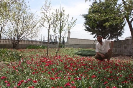 Müsaade edilirse ne de güzel açıyor…